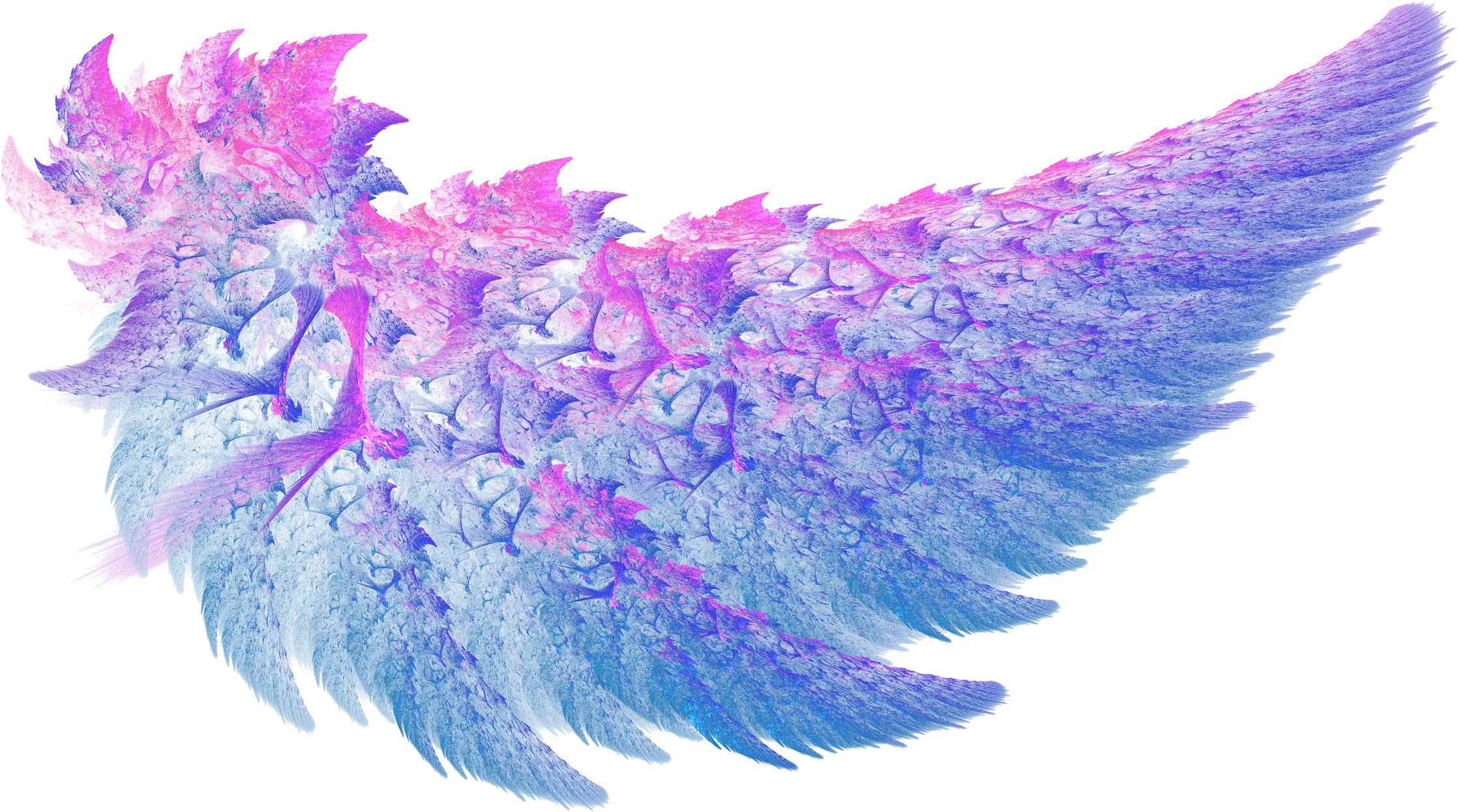 Pink Blue Angel Wing